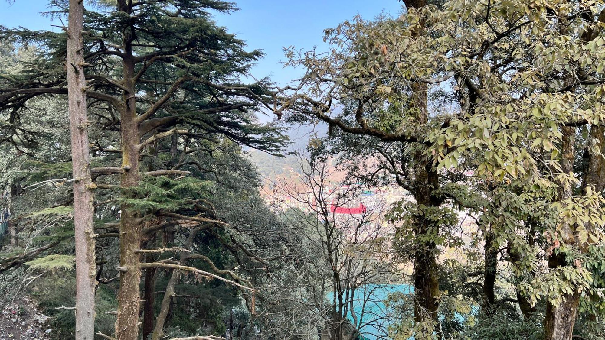 Hotel Pride Inn - 800 Mts From Mall Road Mussoorie Extérieur photo